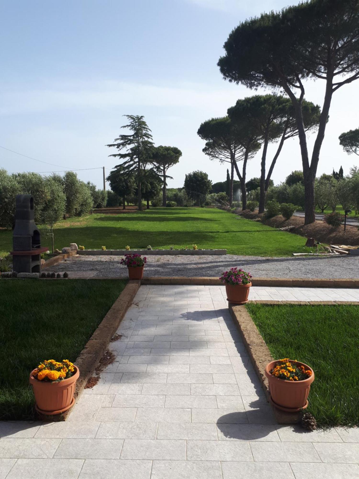 Agriturismo Podere Nonno Gino Piombino Exterior foto